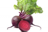 Betterave botte