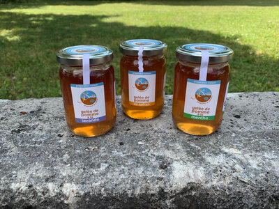 Lot de 3 gelées de pomme