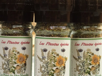 Les plantes  épicées
