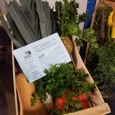 Panier garni  de légumes  bio