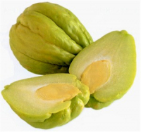 Christophine / chayotte / chouchou