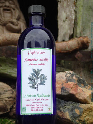 Hydrolat de laurier noble