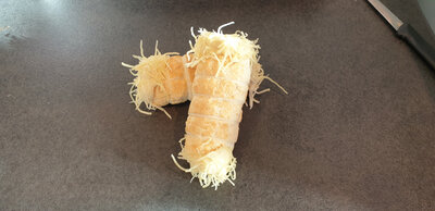 Buchette au fromage