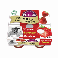 Yaourt brassé sur lit de fraise