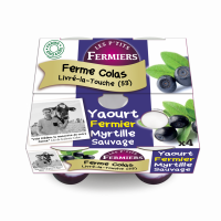 Yaourt brassé sur lit de myrtille