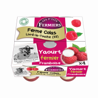 Yaourt brassé sur lit de framboise