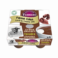 Creme dessert chocolat