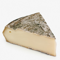 Saint nectaire fermier