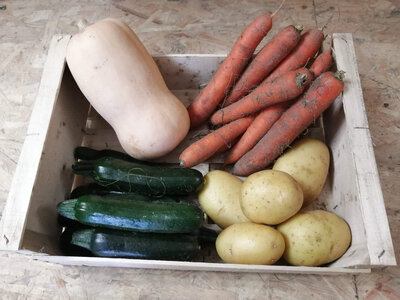 Panier legumes