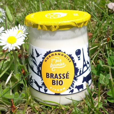 Brassé bio au citron entier de sicile