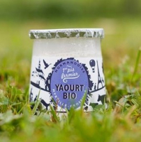 Yaourt sur lit de myrtille-groseill