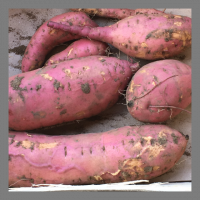 Patate douce