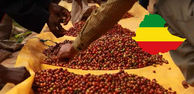 Ethiopie en grains