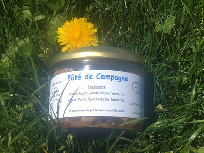 Paté de campagne