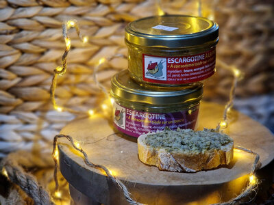 Escargotine à la provençale