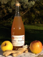Jus de pomme-gingembre