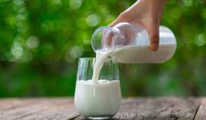 Lait entier pasteurisé