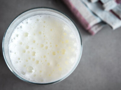 Lait fermenté