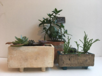 1 jardinière petit format, et un pot