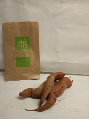 Patate douce bio