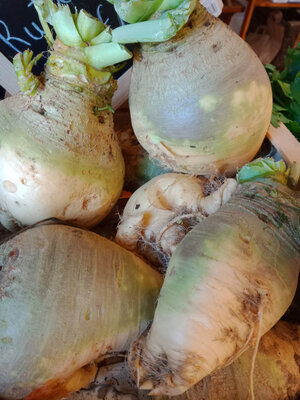Rutabaga