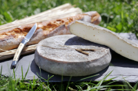 Saint nectaire fermier