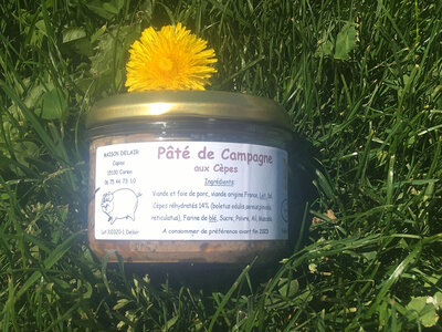 Paté de campagne aux cèpes