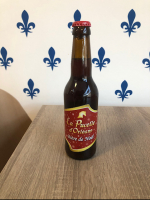 Bière de noël 33cl