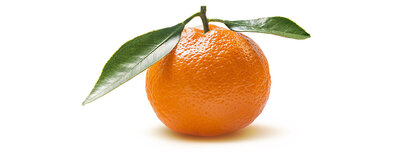 Clémentine