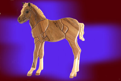 Intarsia poulain