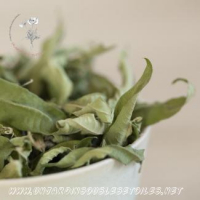Tisane bio de feuilles de verveine