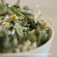 Tisane 'la récup du sportif'