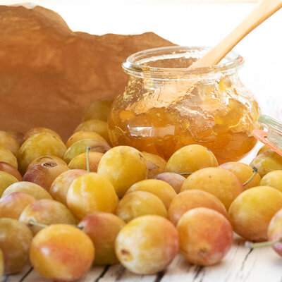 100% issus fruit reine claude