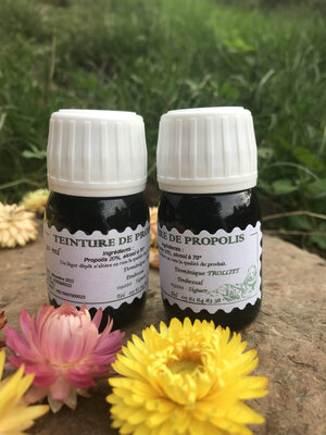 Teinture de propolis