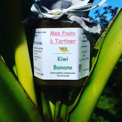 Fruits à tartiner kiwi-banane