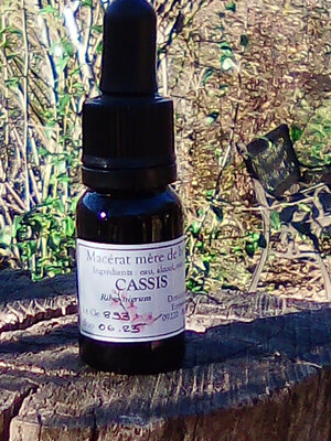 Macérat mère bourgeons cassis