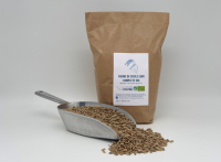 Farine de seigle semi complète