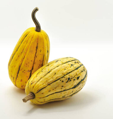 Delicata bio