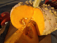 Potiron galeux d'eysines