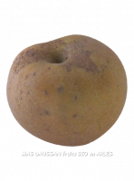 Pommes canada grises