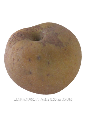 Pommes canada grises