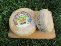 Tomme des pyrénées
