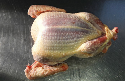 Pigeonneaux
