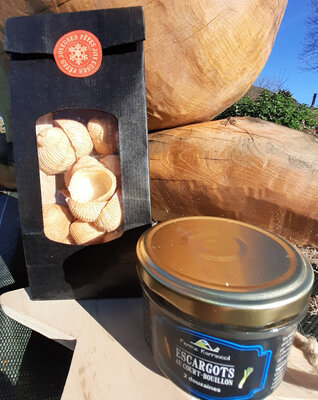 Kit croquilles 2dz