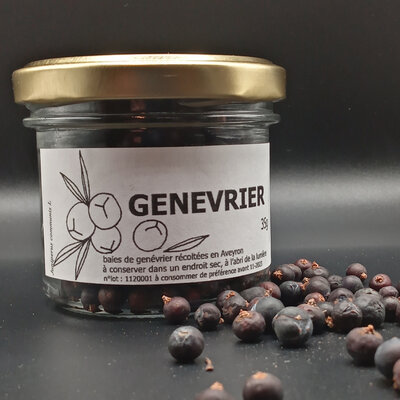 Genévrier