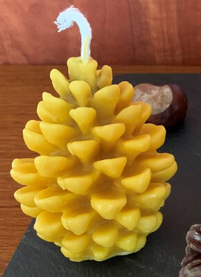 Bougie pomme de pin