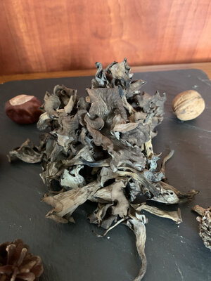Trompettes de la mort séchées extra