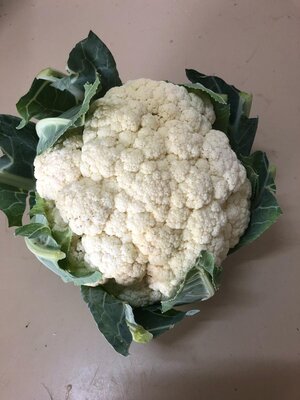Lot de 2 choux fleur