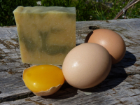 Shampoing des anciens