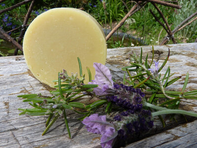 Shampoing du maquis